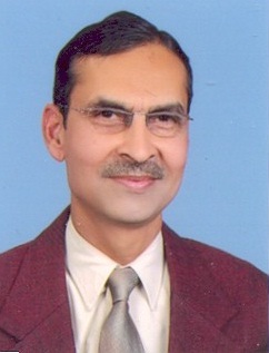 Prof. P.K Jain